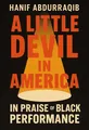 Cover of 'A little devil in america'